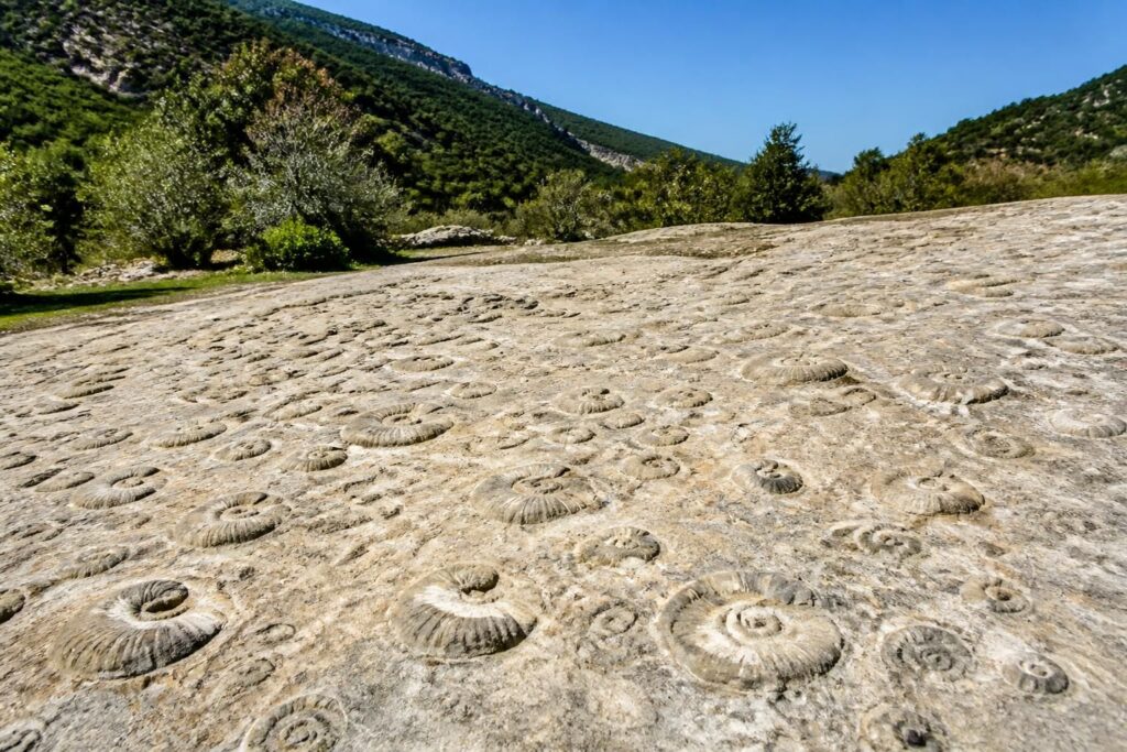 découvrez la dalle à ammonites à digne : photos impressionnantes, avis des visiteurs et météo pour planifier votre visite de ce site fossilifère unique.